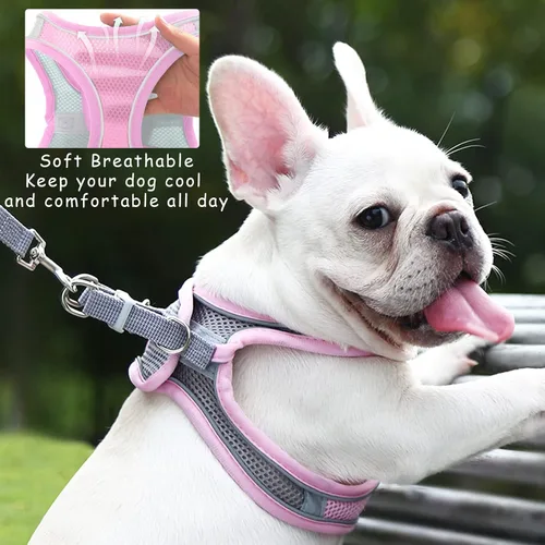 Vista 3 de Arnés sin tirones para perros pequeños, de malla transpirable, reflectante, para cachorros, gatos, chaleco ajustable para animales pequeños, conejo