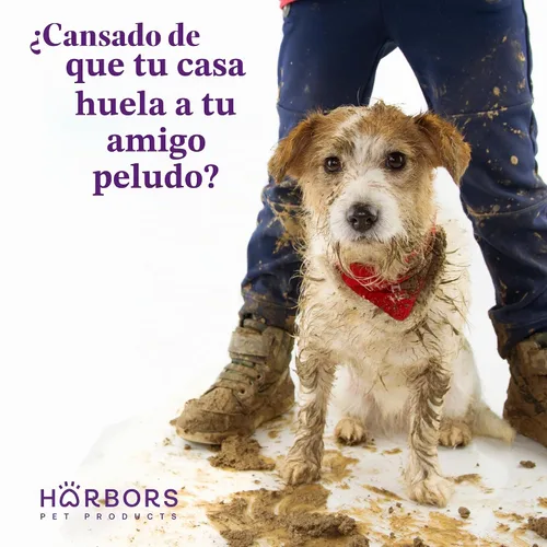 Vista 3 de Colonia Harbor's Pet (polvo para bebés 4oz)