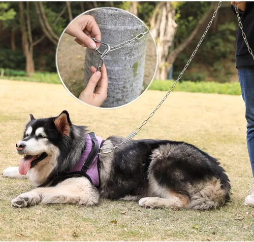 Vista 6 de Cadena de amarre para perro de 15 pies para exterior, correa de cadena de acero inoxidable resistente con resorte que absorbe los golpes para perros