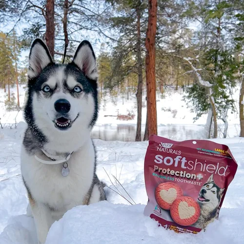 Vista 5 de ARK NATURALS Soft Shield Protection+ Pasta de dientes sin escobillas, masticables dentales para perros para razas grandes, detiene la placa