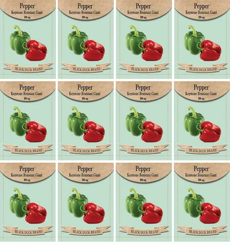 Vista 23 de Juego de 12 paquetes de semillas de verduras de roqueta de rúcula, crea un jardín de lujo, todas las semillas son reliquias, 100% sin OMG