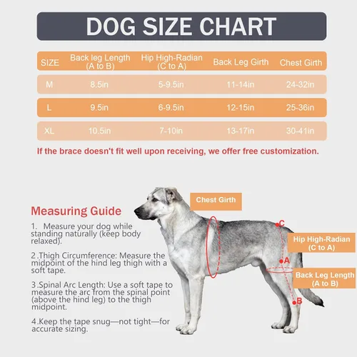 Vista 3 de Rodillera para perro para desgarro ACL/CCL – Soporte ajustable para patas traseras con arnés antideslizante y férula interior, soporte