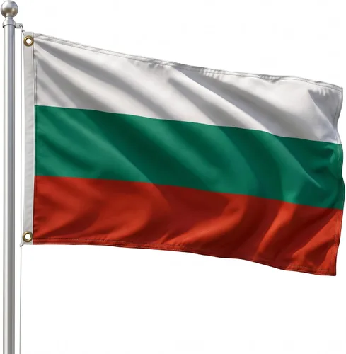 Vista 47 de DMSE - Bandera nacional beninesa beninesa de la República de África Occidental, 2 x 3 pies, 100 % poliéster, 100 % poliéster, resistente a los rayos