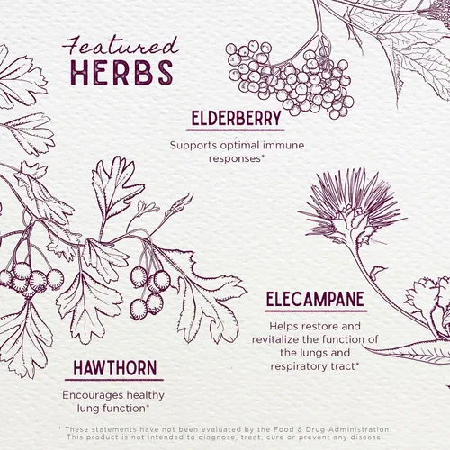 Vista 4 de WishGarden Herbs - Jarabe calmante para la tos seria – Supresor de la tos natural de hierbas diurnas sin somnolencia para adultos con saúco calma