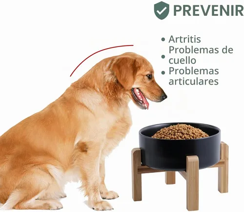 Vista 4 de Cuenco de cerámica elevado y elevado para perros de razas pequeñas y medianas, cuenco de agua con soporte, plato de alimentación pesado Negro