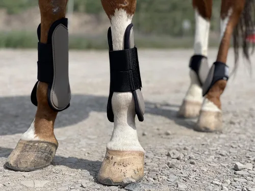 Vista 10 de Ride Now Juego de 4 botas de tendón de caballo con frente abierto/Fetlock para caballo