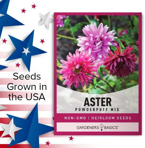 Vista 5 de Gardeners Basics Aster Powderpuff Mix Semillas de flores