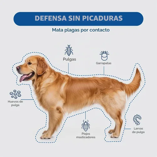 Vista 6 de Tópico Tevrapet FirstAct Plus contra pulgas y garrapatas para perros