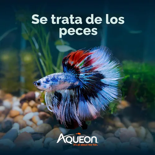 Vista 8 de Aqueon 00800198: Kit de acuario BettaBow LED negro 2.5G