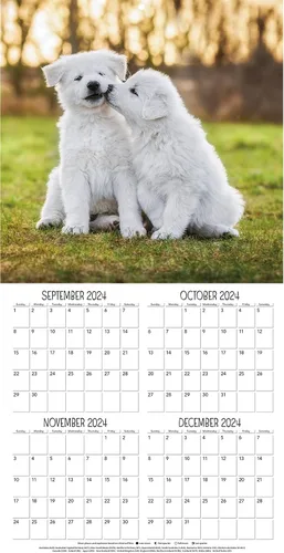 Vista 5 de Turner - Mini calendario fotográfico de pared de cachorros juguetones (25998950017)
