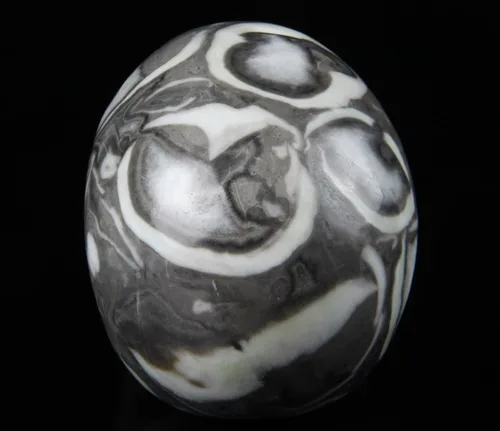 Vista 6 de Skullis Cráneo de cristal fósil raro de 2.0 pulgadas, escultura de arte fino de piedras preciosas talladas a mano, estatua de piedra curativa