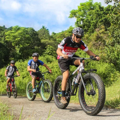 Vista 8 de Accmor Campana de Bicicleta Clásica, Campana de Bicicleta de Aluminio, Campana de Bicicleta de Sonido Fuerte Nítido y Claro para Adultos y Niños