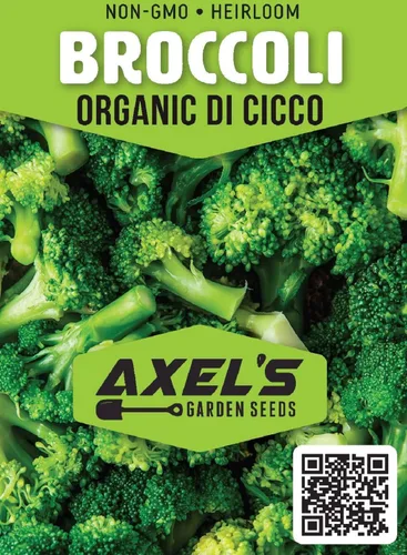 Vista 2 de Semillas de brócoli orgánicas para plantar, 250 semillas tradicionales sin OMG, instrucciones completas de plantación para plantar un huerto casero