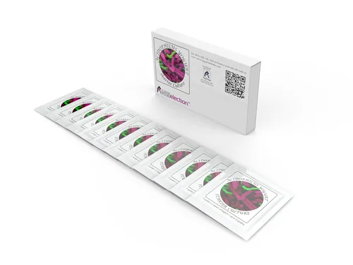 Vista 11 de Paquete de sobres liofilizados de cultivo para yogur Acidophilus
