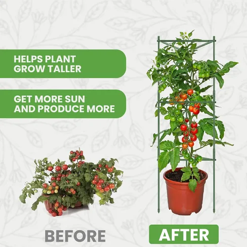 Vista 9 de Jaula de tomate – Estacas grandes de enrejado y estructuras de soporte para plantas para verduras y plantas trepadoras – Jaulas altas para tomate