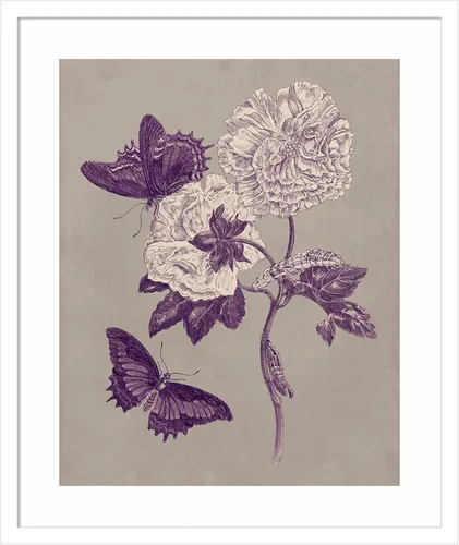 Vista 20 de Amanti Art Lienzo decorativo para pared, 24 x 20 pulgadas, estudio de la naturaleza en ciruela y gris pardo IV por Maria Merian, arte de pared