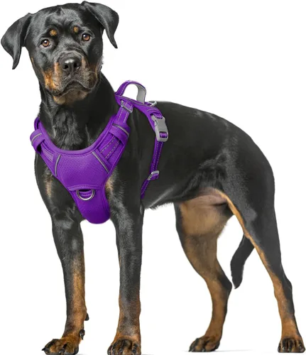 Vista 54 de BARKBAY Arnés para Perro Sin Tirones Talla Grande Arnés Reflectante para Perro con Clip Frontal y Asa de Control Fácil para Caminar Entrenar Correr