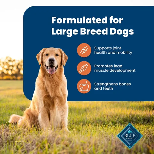 Vista 4 de Blue Buffalo Life Protection Formula Large Breed Adult Dry Dog Food, promueve la salud de las articulaciones y los músculos magros, hecho