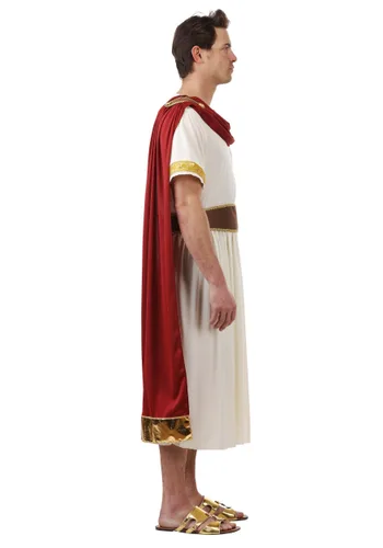 Vista 4 de Disfraz de Emperador Romano para Hombre Multicolor
