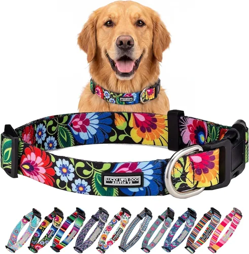 Vista 97 de Lucky Love Dog - Collar para perras pequeñas, diseño Blackbird de estampado alegre con flores de primavera y verano, talla XS Collar Blackbird