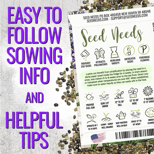 Vista 4 de Seed Needs Semillas silvestres perennes de altramuces para plantar reliquias y flores polinizadas abiertas, flores atractivas perfectas para un