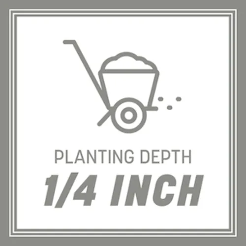 Vista 24 de Pennington Contractors Northern Grass Seed Mix, 40 lb