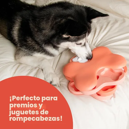 Vista 9 de Pupford Golosinas de entrenamiento suaves y masticables para perros y cachorros (carne de res, 5 onzas)