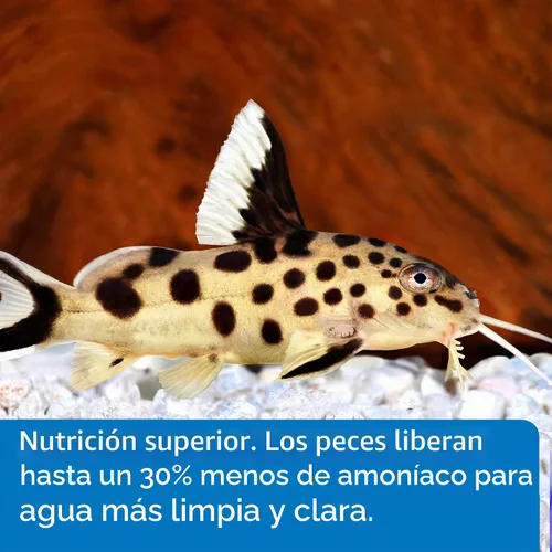 Vista 3 de API PELLETS BOTTOM FEEDER PELLETS WITH SQUID Fish Food Contenedor de 1.3 onzas