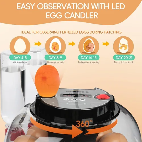 Vista 5 de ZEMIRO CHARGE Incubadora de 12 huevos con giro automático, control de humedad, vela LED para huevos, y adición automática de agua, para incubar