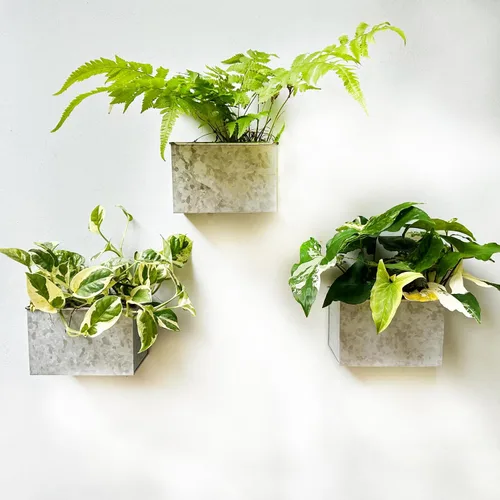 Vista 8 de LaLaGreen - Maceta de pared, paquete de 3, macetas de montaje en pared de 6 pulgadas para suculentas, color blanco, maceta rectangular de metal