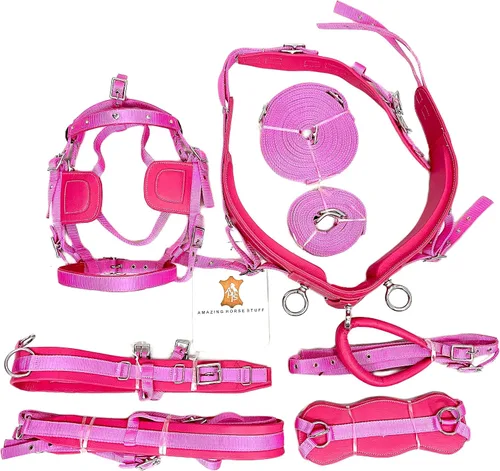 Vista 7 de Arnés de conducción de nailon unisex en color rosa para carro de caballo individual rosa (Cob)