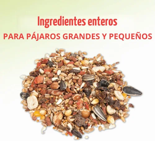 Vista 4 de Manna Pro Harvest Delight - Golosina para Pollos de Ingredientes Integrales - Mezcla Harvest de Granos, Pasas, Tomates, Zanahorias, Semillas