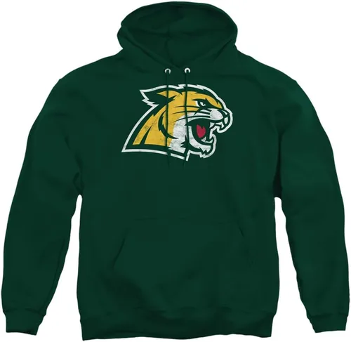 Vista 160 de Distressed College Primary Logo Adult Pullover Hoodie Collection 1 Universidad Estatal de Albany