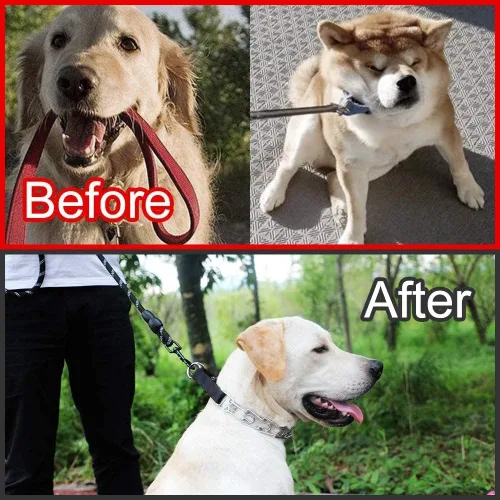 Vista 7 de Collar de punta para perro, collar de entrenamiento ajustable para perros con hebilla de liberación rápida para perros pequeños, medianos y grandes