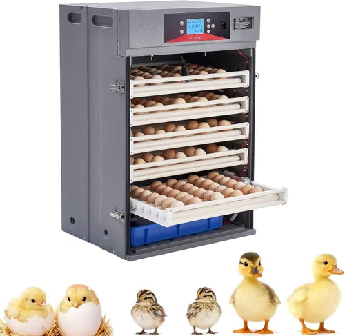Vista 11 de VEVOR Incubadora de 36 huevos, incubadora automática con volteador de huevos y candelero LED y bandeja de agua, control de temperatura y humedad