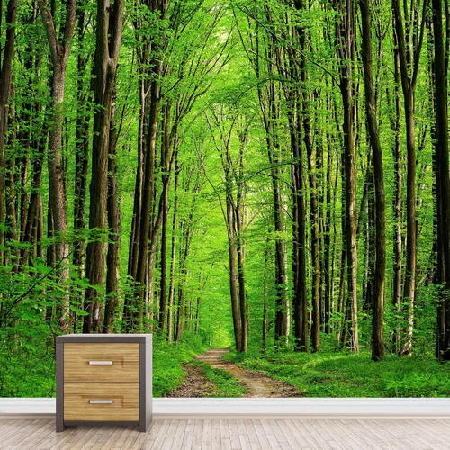 Vista 3 de SIGNFORD Adhesivo removible de pared/mural de pared, verde esmeralda, sol, bosque, árbol, árbol, naturaleza, desierto, fotografía, realismo