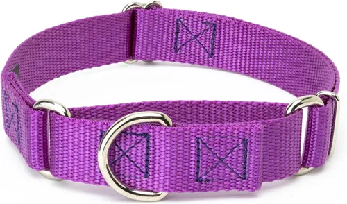 Vista 22 de Country Brook Petz - Collar Martingale para perro - Collar de entrenamiento resistente sin hebilla - Collar para perro de servicio para todas