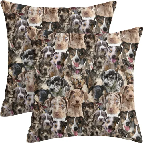 Vista 10 de Regalo para amantes de Airedale Terrier, 2 fundas de almohada de Bingley Terrier, fundas de almohada con estampado de cara de perro, fundas