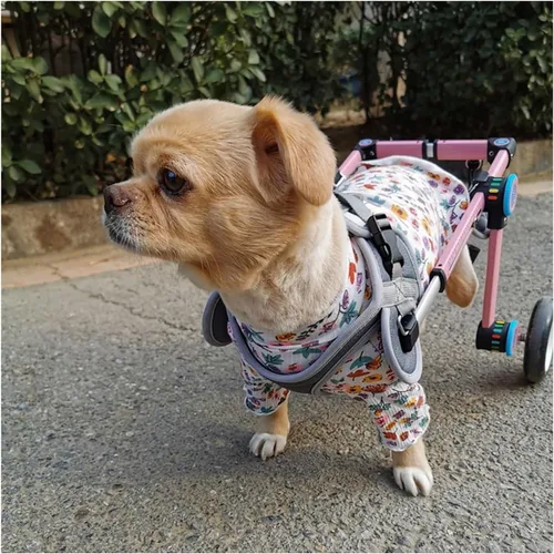 Vista 2 de Dog Wheelchair for Back Legs, Dog Wheelchair, Dog Wheels for Handicapped Hind Legs Pet/Dog Walk, Easy Assemble & Light