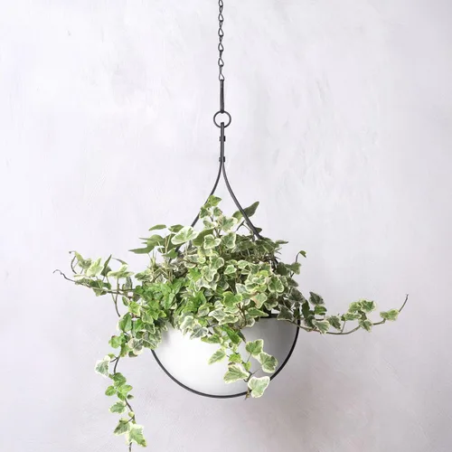Vista 7 de Hajia Maceta colgante en forma de gota de agua, colgador de plantas de metal con maceta no desmontable, soporte para plantas colgantes