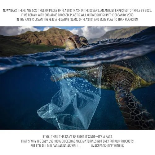 Vista 9 de Premium 500 hisopos de algodón de bambú biodegradables Productos desechables sin residuos Consejos Q compostables para orejas Hisopo