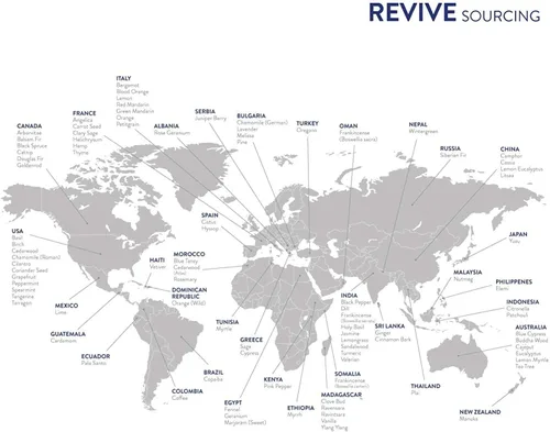 Vista 5 de Kits de aromaterapia de Revive Essential Oils – 100% puro grado terapéutico, difusor, masaje, aromaterapia (kit básico)