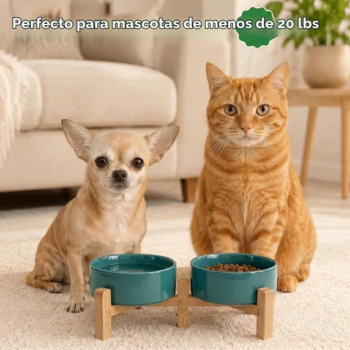 Vista 7 de SPUNKYJUNKY Cuencos elevados de cerámica para perros, 5.1 pulgadas, para comida de perros y gatos, cuencos elevados con soporte de bambú Verde oscuro