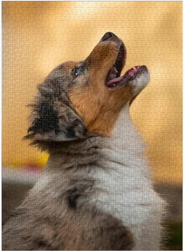Vista 8 de MyPuzzle Aussi Puppy - Rompecabezas prémium de 100 piezas, fabricado en Estados Unidos