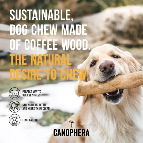 Vista 2 de Canophera Palillo masticable para perros hecho de madera de árbol de café, pequeño, paquete de 2