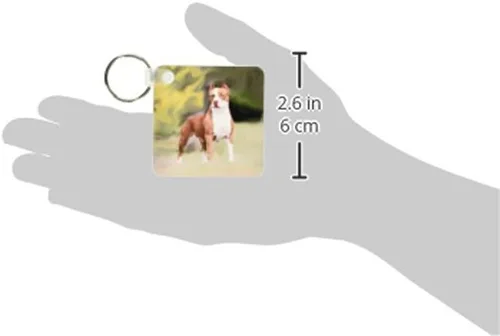 Vista 2 de 3dRose American Pit Bull Terrier Llaveros, juego de 2 (kc_4239_1)