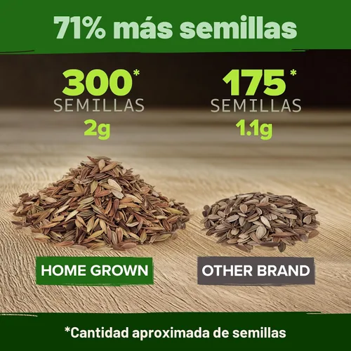 Vista 3 de HOME GROWN Semillas de zinnia rosa – 300 zinnias Luminosa 0.5g, semillas anuales de flores fáciles de cultivar para plantar al aire libre para 2026