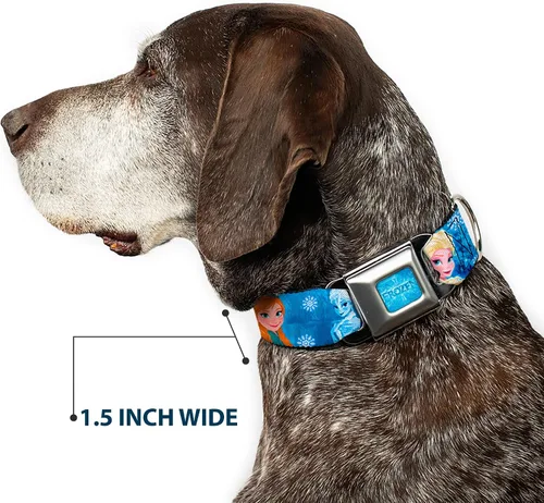 Vista 7 de Buckle-Down Collar de perro con hebilla de cinturón de seguridad, diseño de personajes de Frozen Poses azules, 1 pulgada de ancho, se adapta a