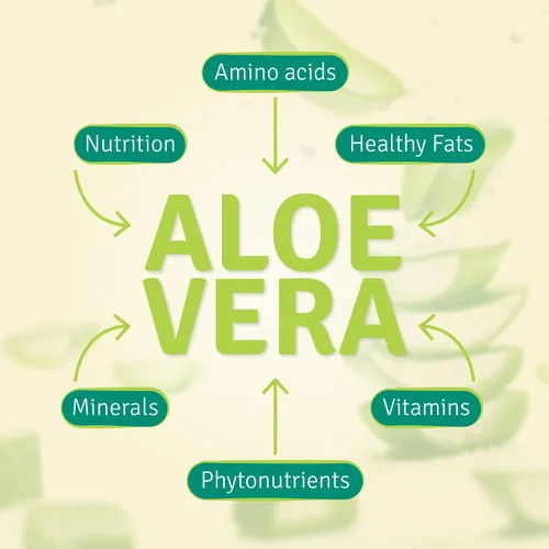 Vista 6 de Aloe Life - Fórmula Stomach Plus, tónico de acción rápida para niños, adultos y personas mayores, apoya la digestión saludable y ayuda a calmar