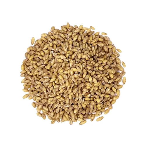 Vista 3 de Food to Live Grano de cebada descascarada, 1 libra, 100% grano entero, vegano, ideal para hornear en casa, elaboración de cerveza, molienda. Rico